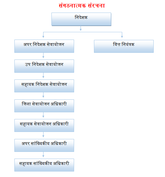 संगठनात्मक संरचना